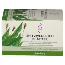 Spitzwegerich Blätter><noscript><img width=