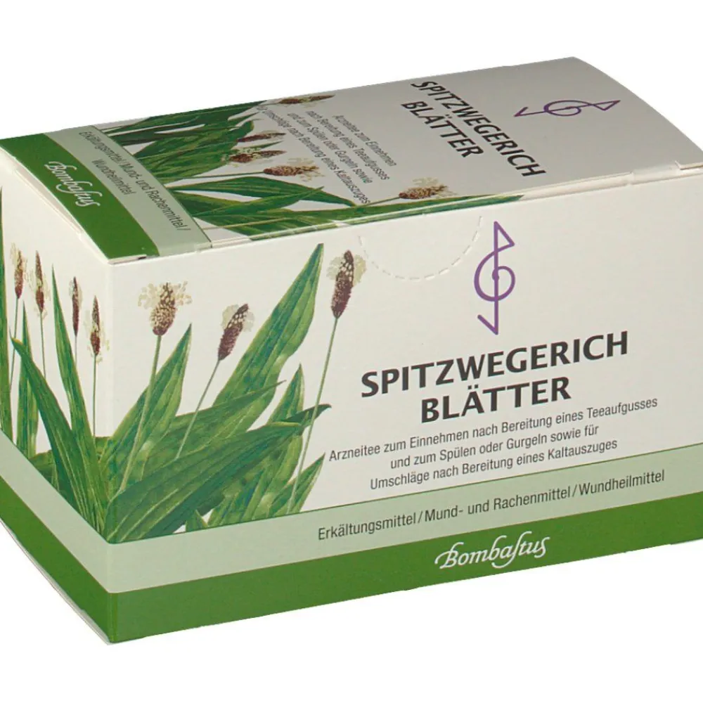 Spitzwegerich Blätter>Bombastus Hot