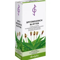 Spitzwegerichblätter|Bombastus Outlet