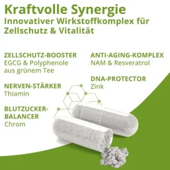 Botanical Health Rejuval Anti-Age mit NAM und Resveratrol><noscript><img width=