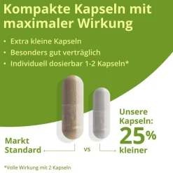 Botanical Health Rejuval Anti-Age mit NAM und Resveratrol><noscript><img width=
