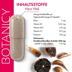 Herz Vital Schwarzer Knoblauch|BOTANICY
