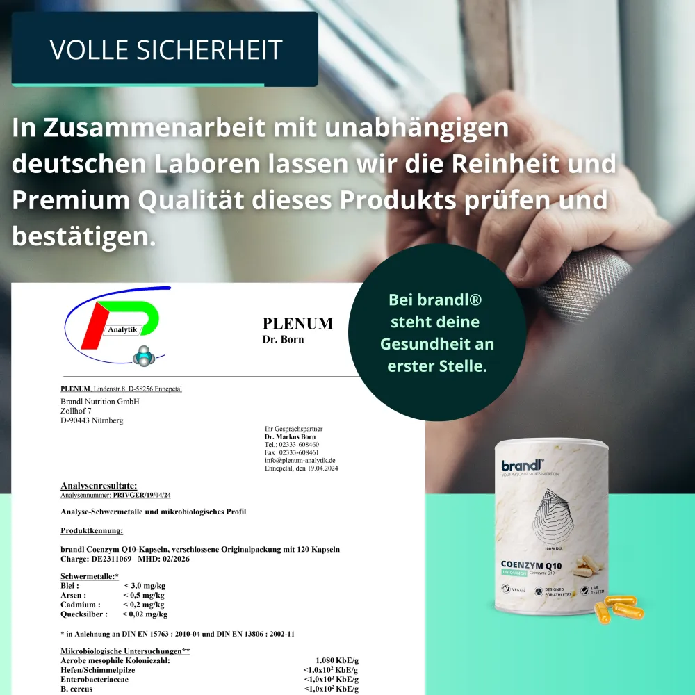 ® Coenzym Q10 (Ubiquinon)>brandl Discount