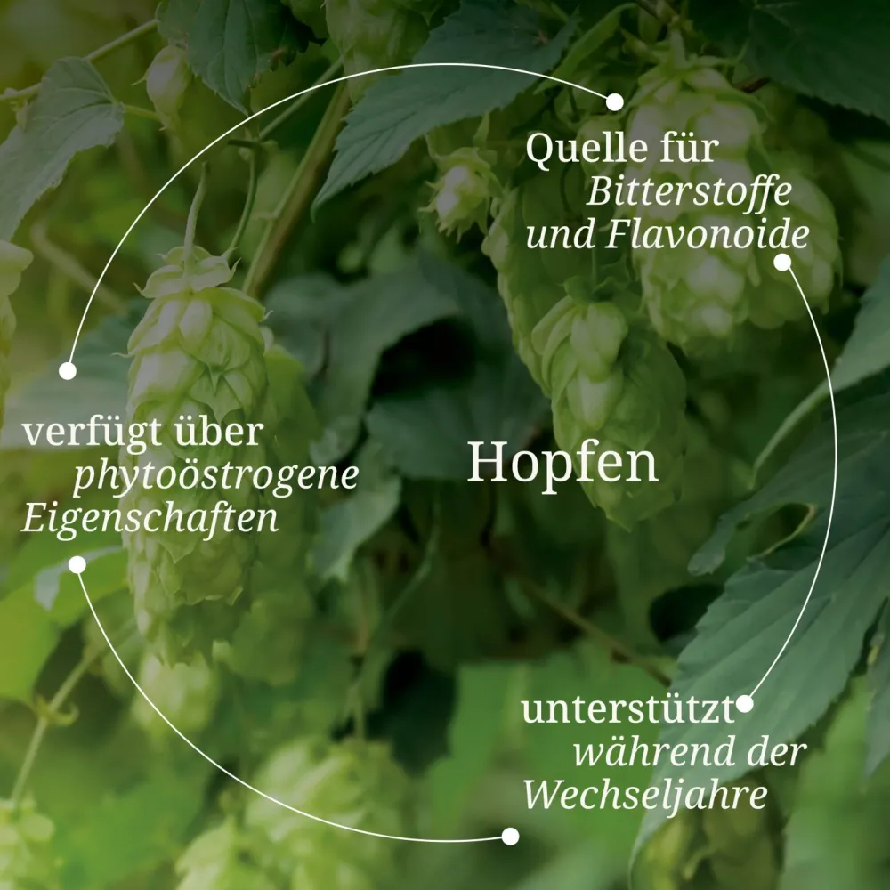 Bärbel Drexel Wechseljahre mit Hopfen und Vitamin B6 Presslinge>BÄRBEL DREXEL Hot