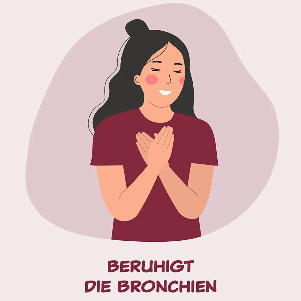 Bromhexin Hermes Arzneimittel® 12 mg| Online