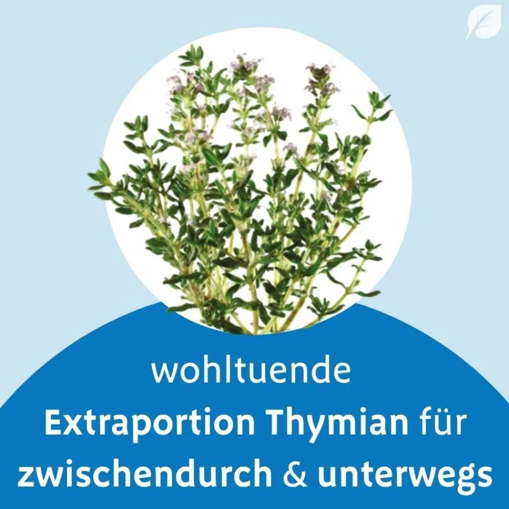 ® Thymian Pastillen>Bronchipret New