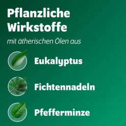 Bronchoforton® Salbe – Erkältungssalbe mit rein pflanzlichen Wirkstoffen. Löst zähen Schleim, erleichtert das Abhusten; mit Eukalyptus-, Fichtennadel- und Pfefferminzöl><noscript><img data-lazyloaded=