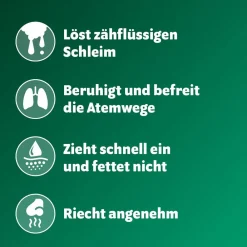 Bronchoforton® Salbe – Erkältungssalbe mit rein pflanzlichen Wirkstoffen. Löst zähen Schleim, erleichtert das Abhusten; mit Eukalyptus-, Fichtennadel- und Pfefferminzöl><noscript><img data-lazyloaded=