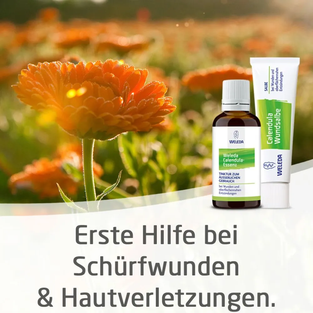 Calendula Wundsalbe zur wirksamen Behandlung von Schürfwunden und kleineren Hautverletzungen|WELEDA Calendula Outlet