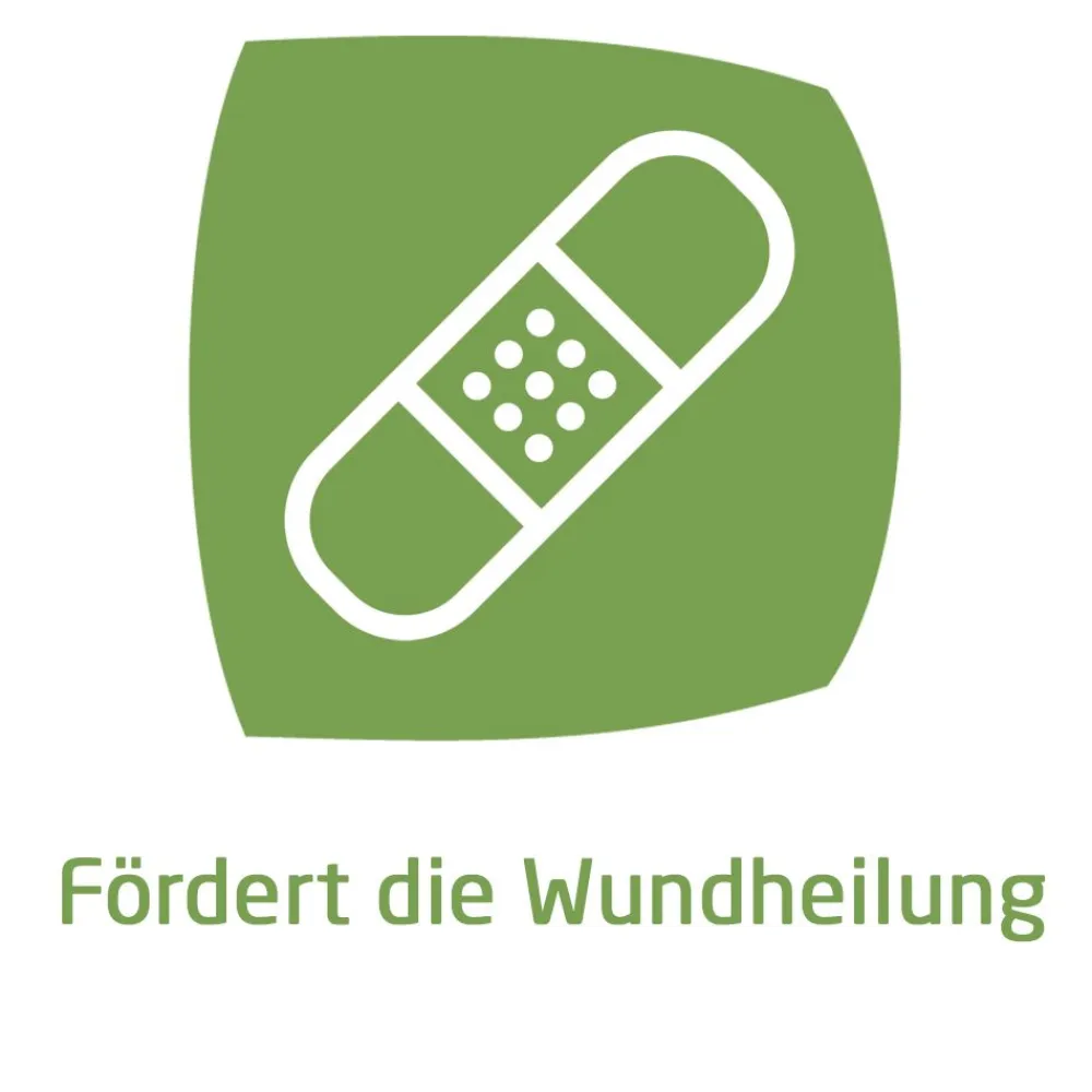 Calendula Wundsalbe zur wirksamen Behandlung von Schürfwunden und kleineren Hautverletzungen|WELEDA Calendula Outlet
