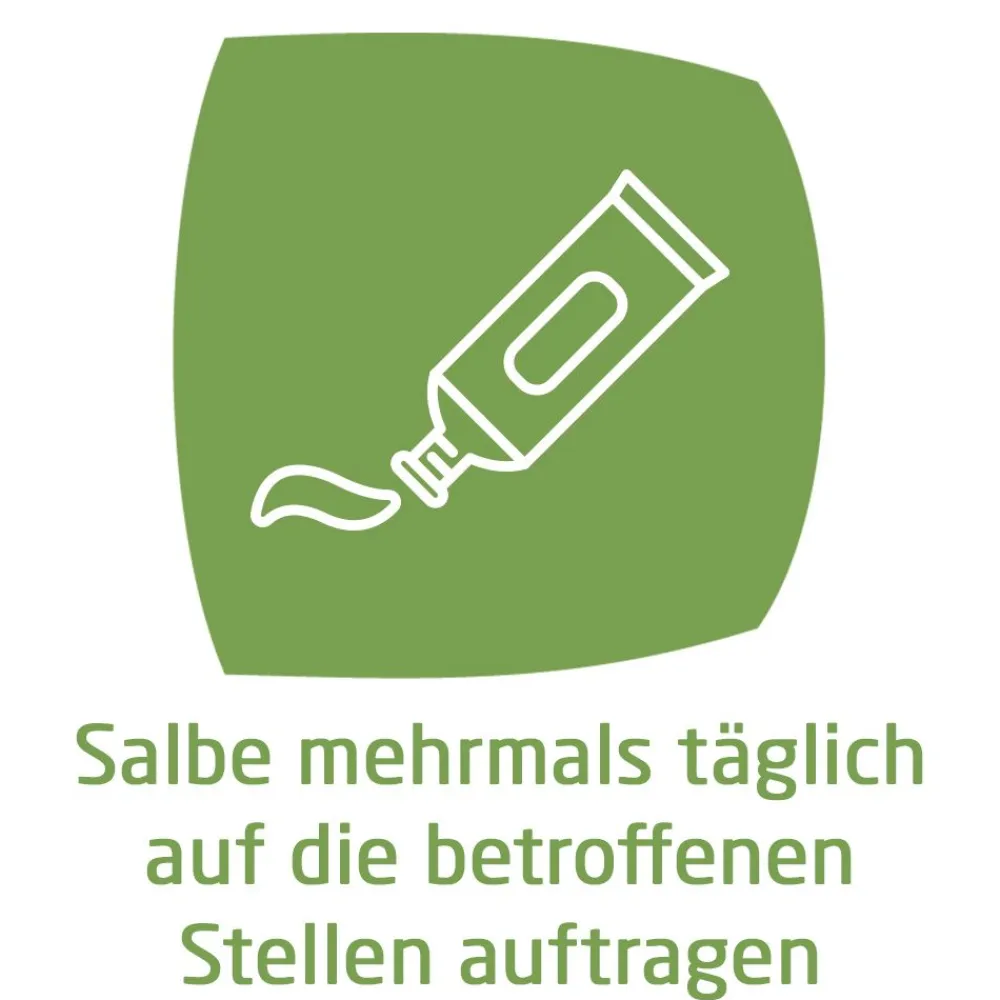 Calendula Wundsalbe zur wirksamen Behandlung von Schürfwunden und kleineren Hautverletzungen|WELEDA Calendula Outlet