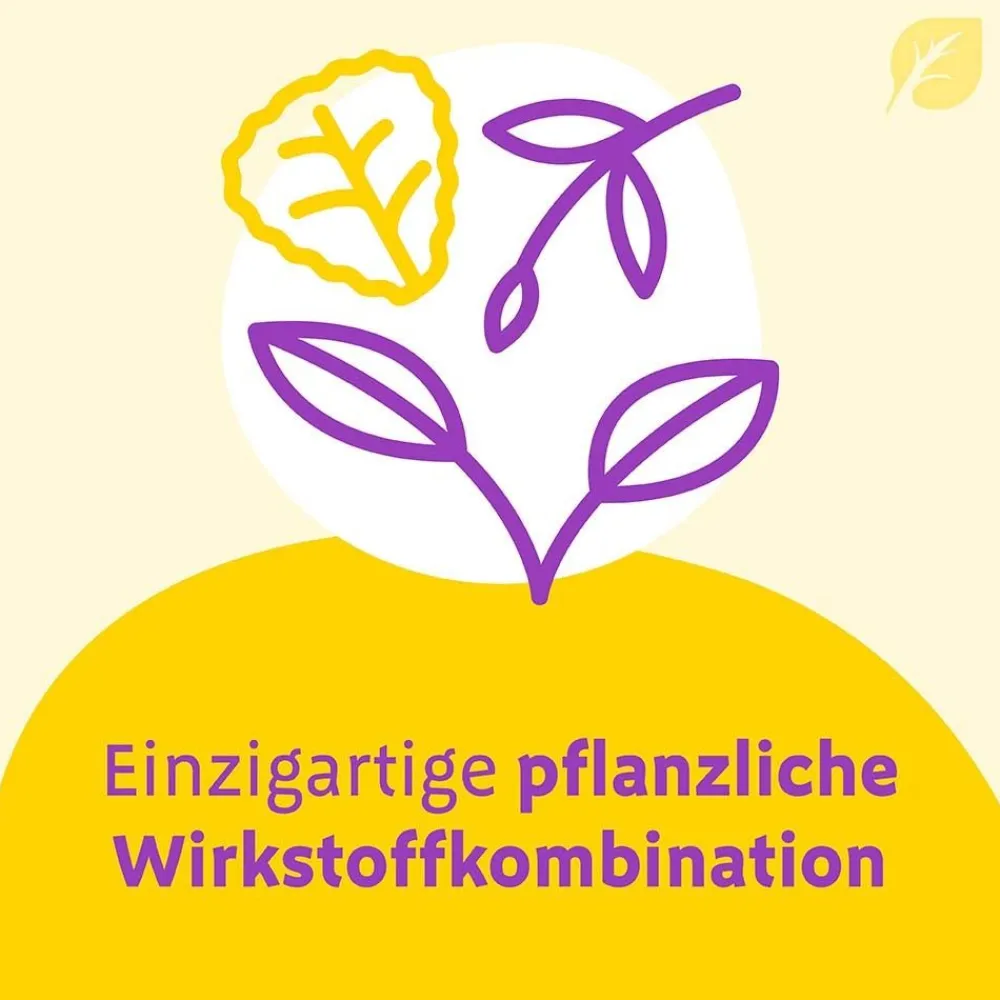 ® Uno bei Blasenentzündung – mit 4-fach Wirkung|Canephron Hot