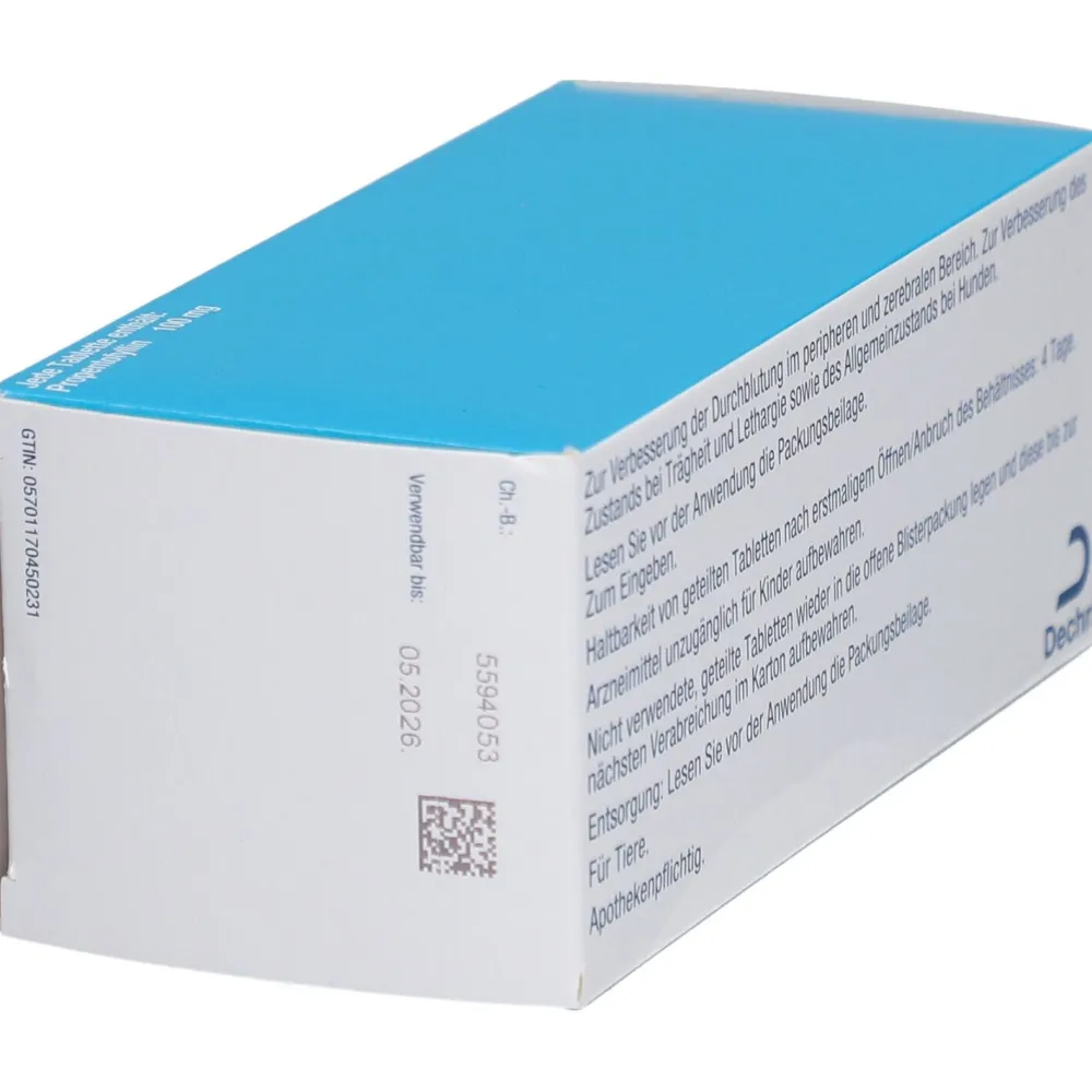 Canergy® 100 mg Tabletten für Hunde Propentofyllin| Online