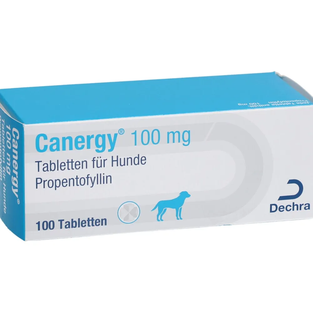Canergy® 100 mg Tabletten für Hunde Propentofyllin| Online