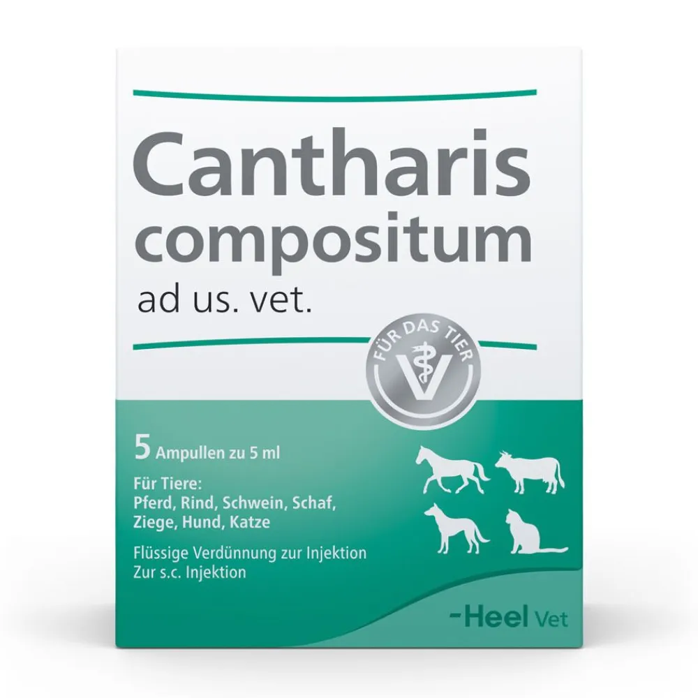 Cantharis compositum ad us. vet.| Hot