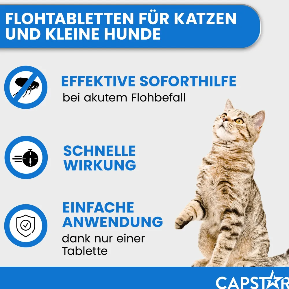 Capstar Tabletten gegen Flöhe für Katzen und kleine Hunde bis 11 kg, 6 Tabletten in einer Packung>