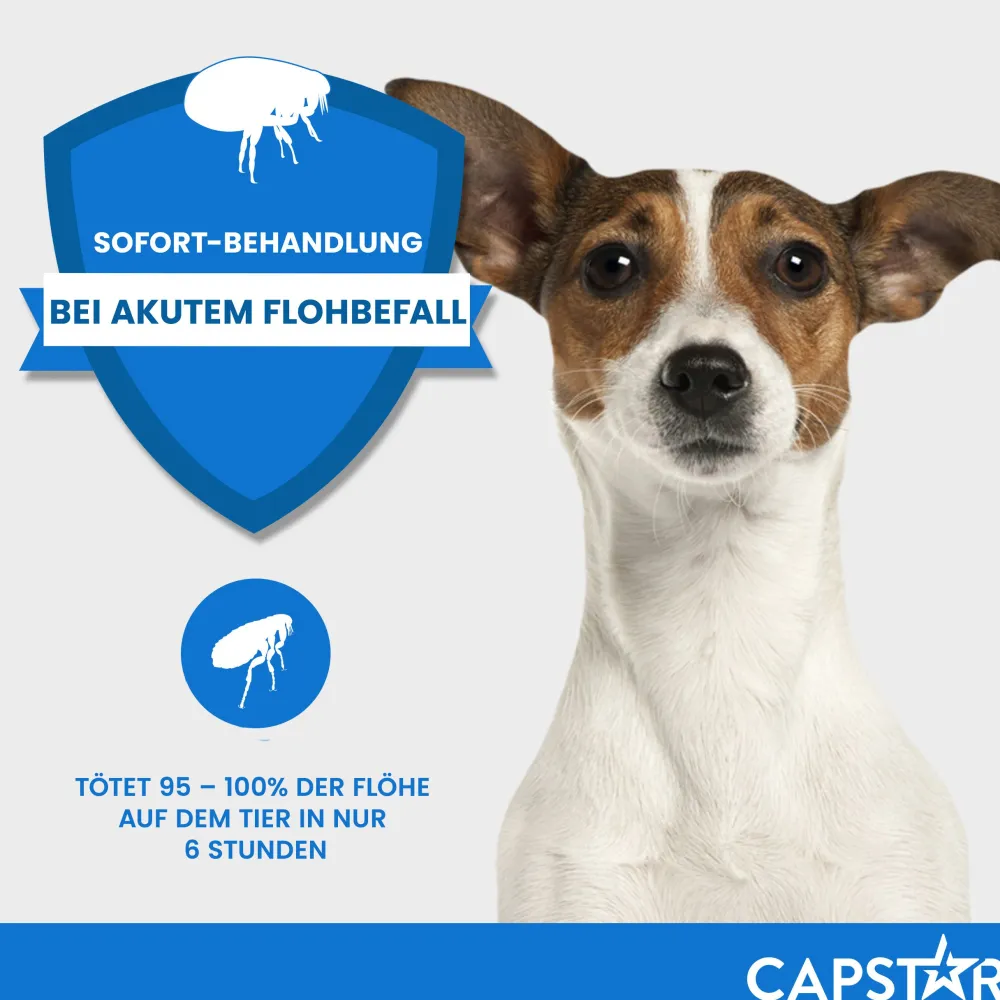 Capstar Tabletten gegen Flöhe für Katzen und kleine Hunde bis 11 kg, 6 Tabletten in einer Packung>