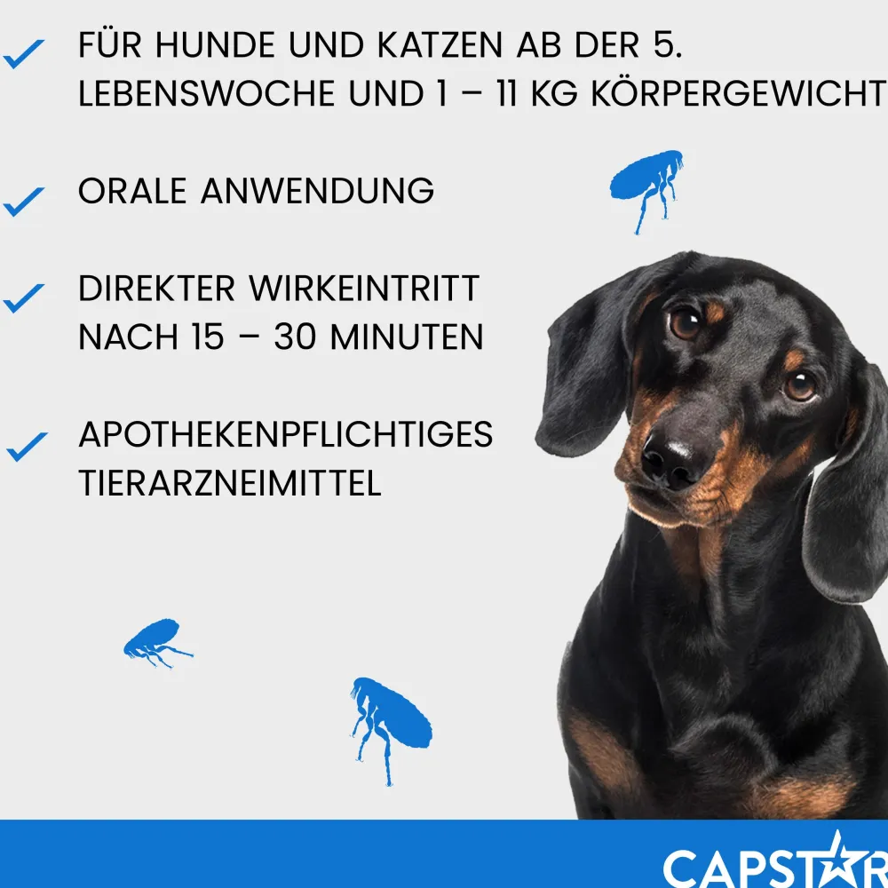 Capstar Tabletten gegen Flöhe für Katzen und kleine Hunde bis 11 kg, 6 Tabletten in einer Packung>