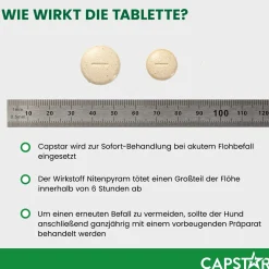 Capstar Tabletten gegen Flöhe für große Hunde von 11 bis 57 kg, 6 Tabletten in einer Packung><noscript><img width=