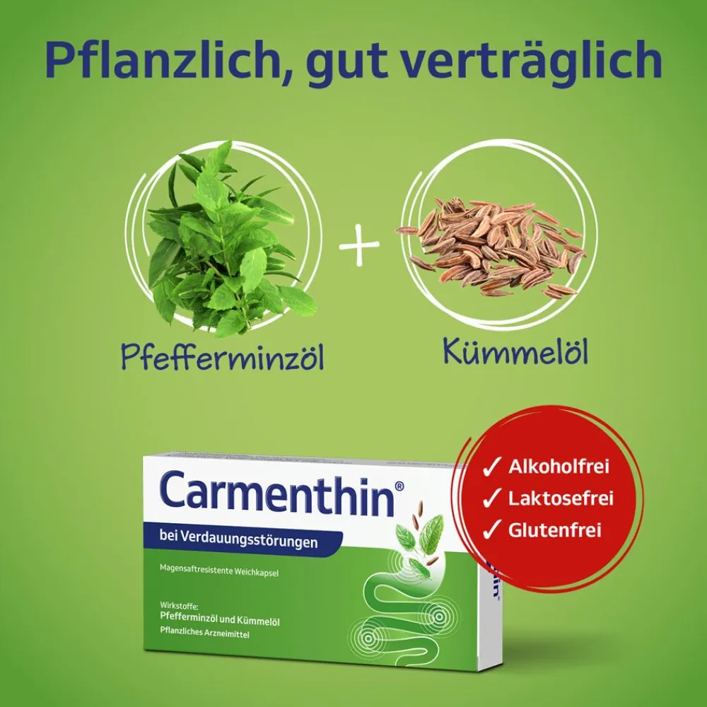 ® bei Verdauungsstörungen - Jetzt 20% mit dem Code schwabe20 sparen*>Carmenthin