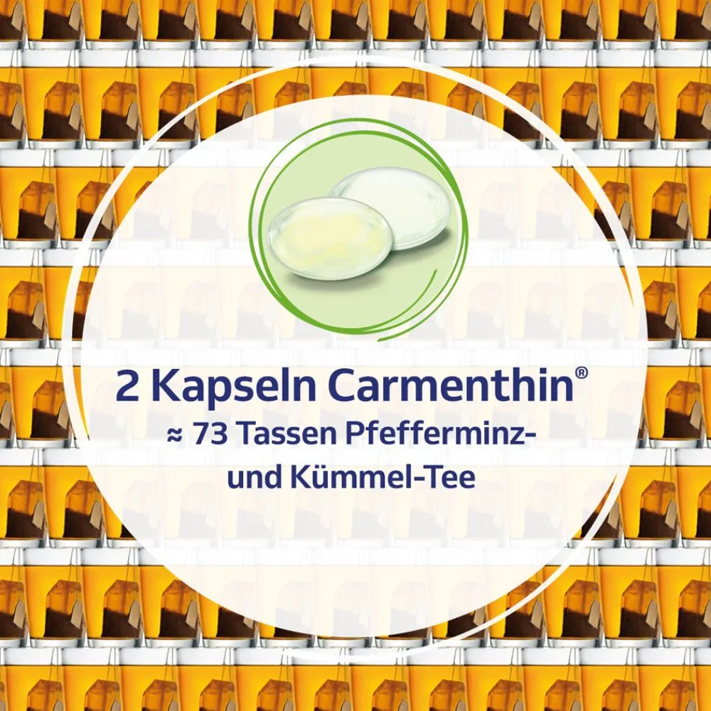 ® bei Verdauungsstörungen - Jetzt 20% mit dem Code schwabe20 sparen*>Carmenthin