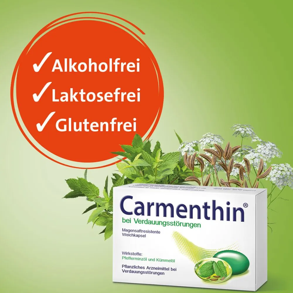 ® bei Verdauungsstörungen - Jetzt 20% mit dem Code schwabe20 sparen*>Carmenthin