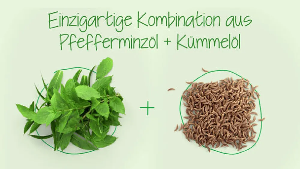 ® bei Verdauungsstörungen - Jetzt 20% mit dem Code schwabe20 sparen*>Carmenthin
