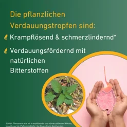 Carvomin® Verdauungstropfen| New
