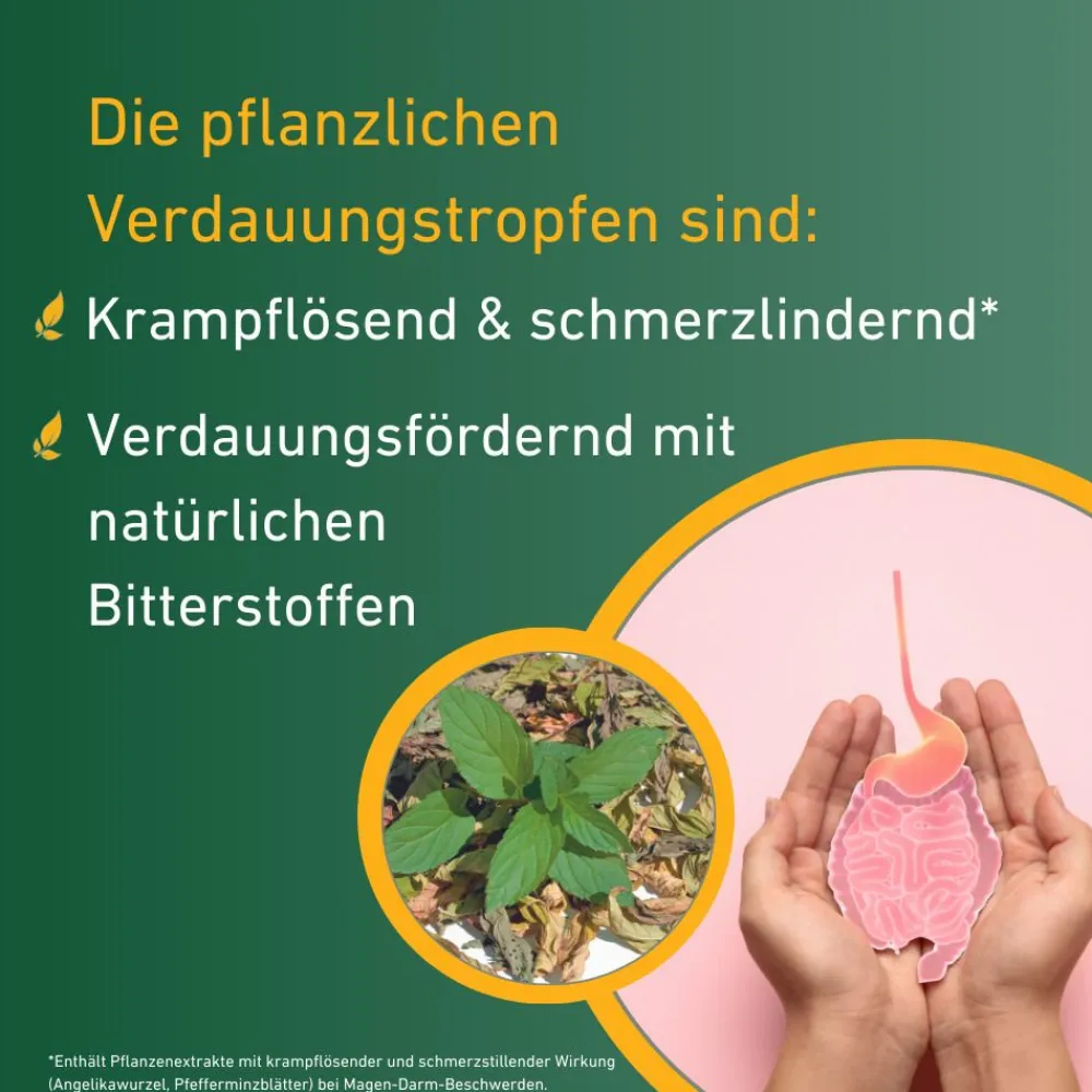 Carvomin® Verdauungstropfen| New
