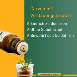 Carvomin® Verdauungstropfen| New