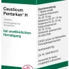 Causticum Pentarkan H Tabletten>DHU Hot
