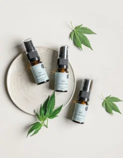 CBD Öl 10% Bio mit Spray - spearmint>BioBloom Online