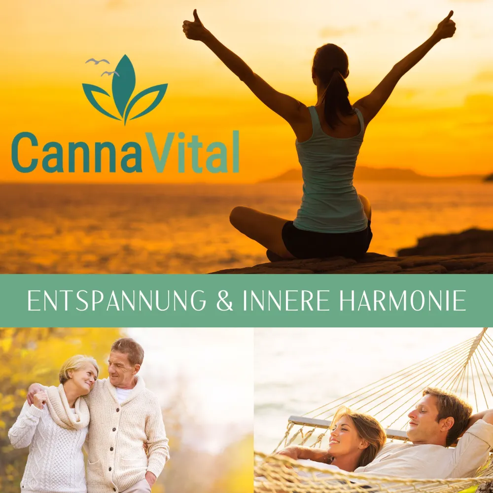 CBD Öl Bio Vollspektrum Tropfen 30% - 10 ml mit Cannabidiol | Laborqualität CannaVital®| New