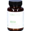 Hanf Gelenke aktiv – Weihrauch, MSM & Teufelskralle|CBD Vital Discount