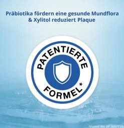 Mundspülung Zahnfleischschutz|CB12 Hot
