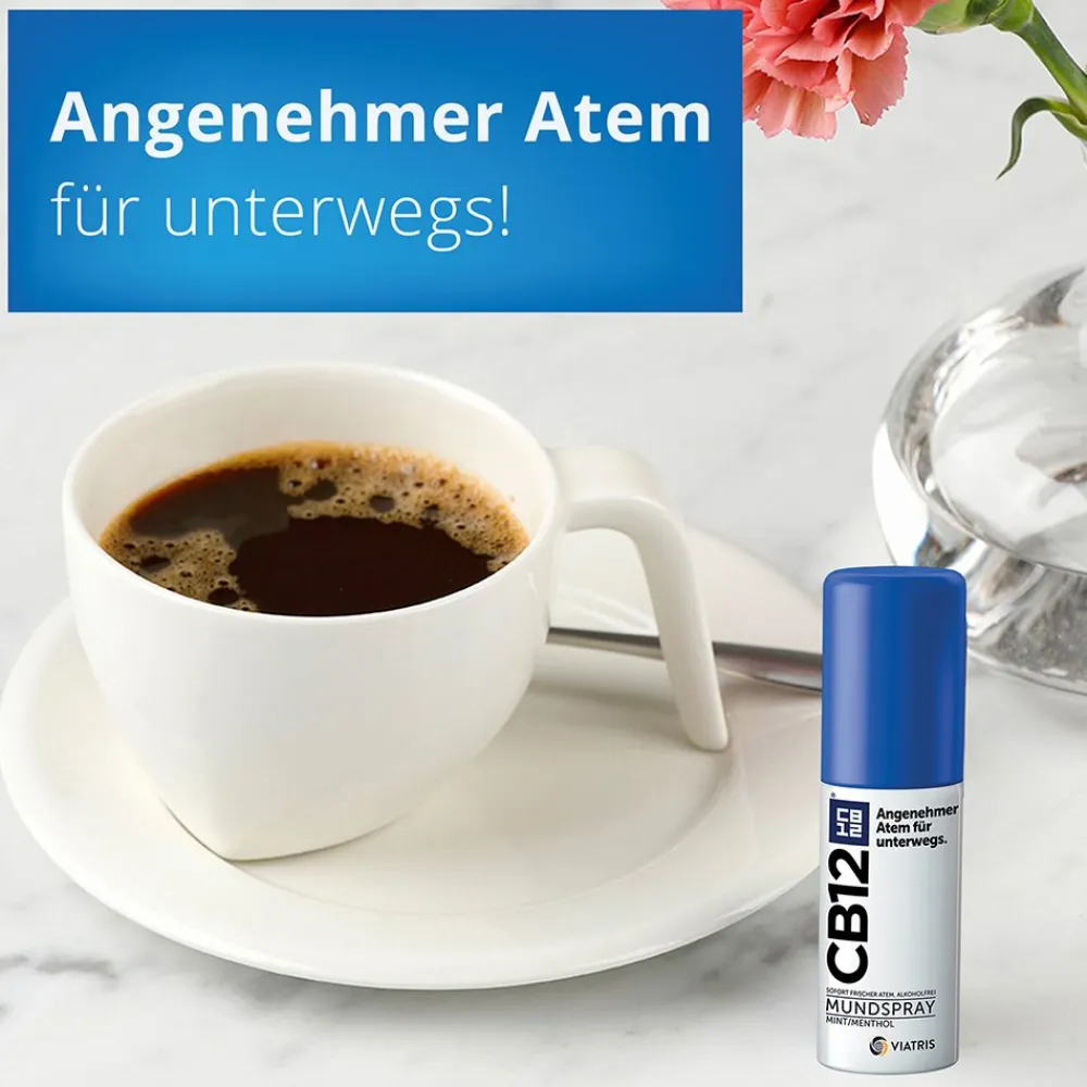 Spray: Mundspray für angenehmen Atem unterwegs|CB12 New