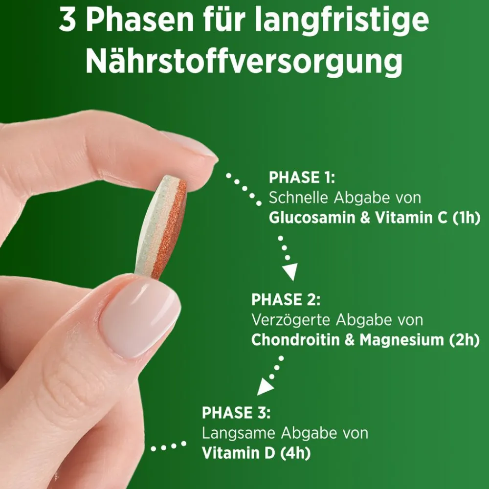 Vital+ Knochen, Knorpel & Muskeln, - Jetzt 20% mit dem Code Vitamine20 sparen*|Centrum Outlet