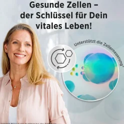 Vital+ Mentale Leistung - Jetzt 20% mit dem Code Vitamine20 sparen*><noscript><img width=