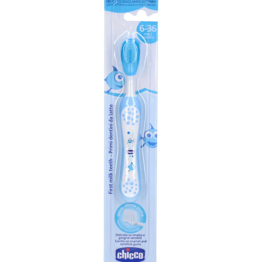 Zahnbürste hellblau 6 M+|chicco Discount