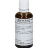 Cichorium Stanno Cultum D 3 Dilution>WELEDA Hot
