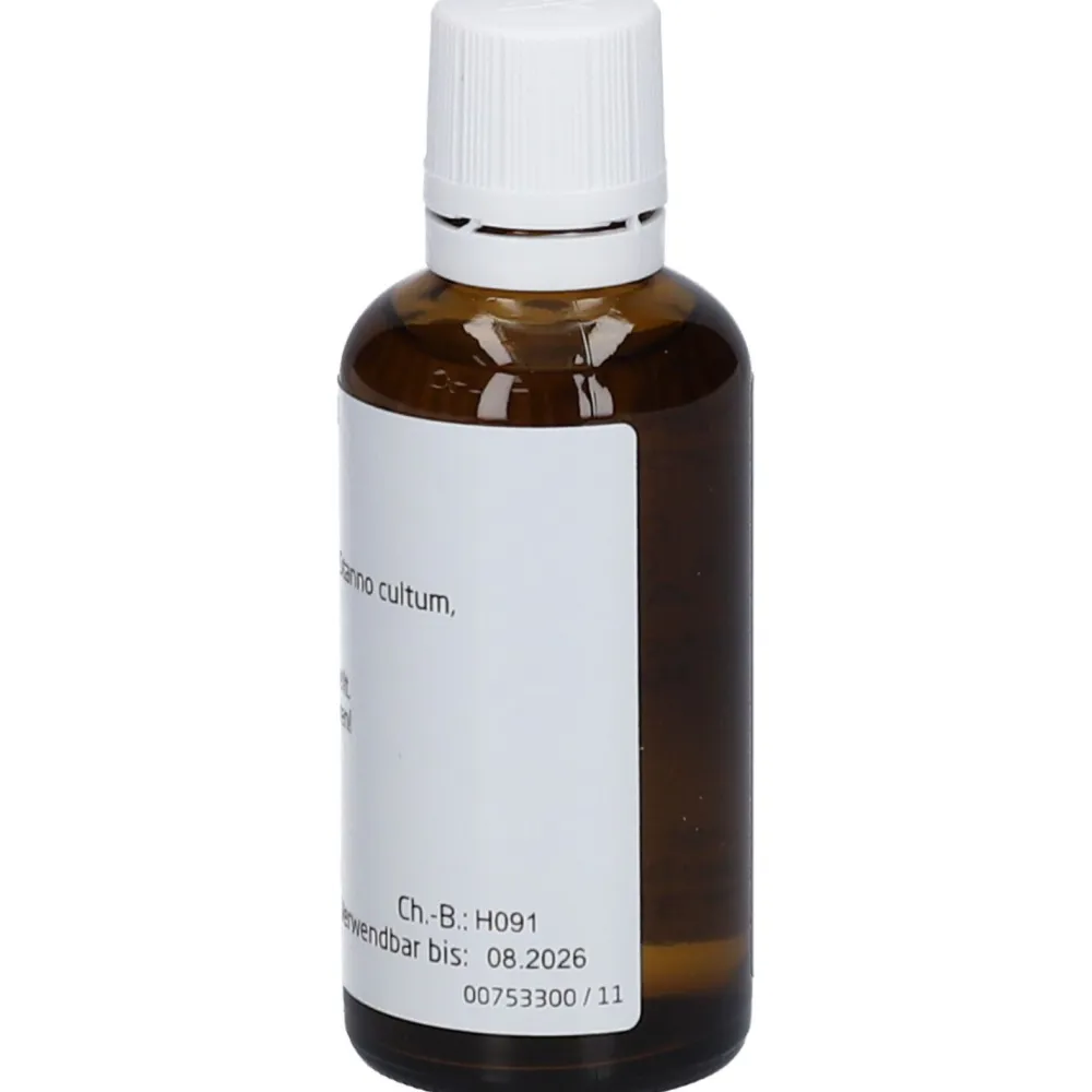 Cichorium Stanno Cultum D 3 Dilution>WELEDA Hot