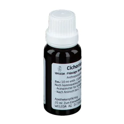 Cichorium Stanno cultum Rh D3><noscript><img width=