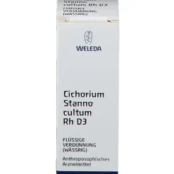 Cichorium Stanno cultum Rh D3><noscript><img width=