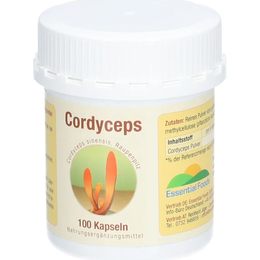 Cordyceps sinensis| Hot