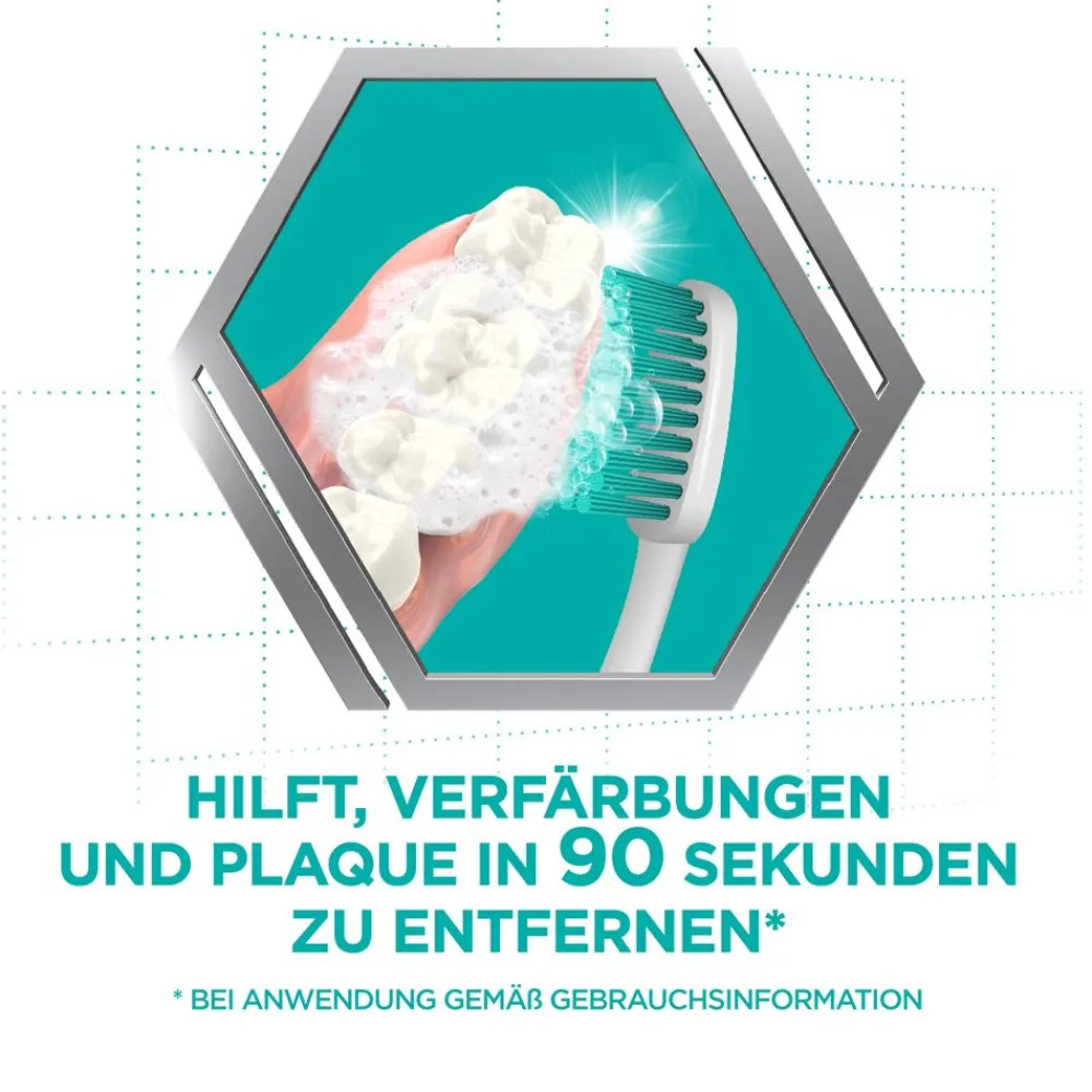 Purfrisch Reinigungsschaum>COREGA Hot