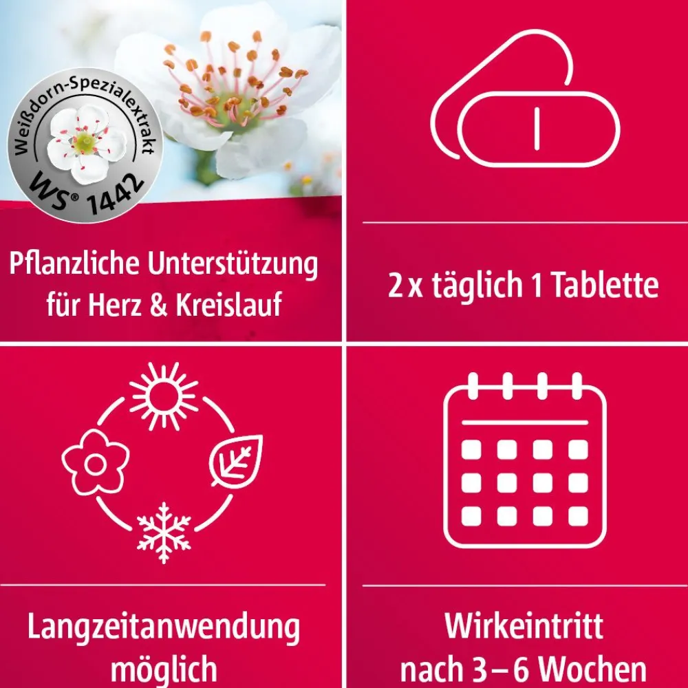 ® 450 mg Herz-Kreislauf-Tabletten|Crataegutt Hot