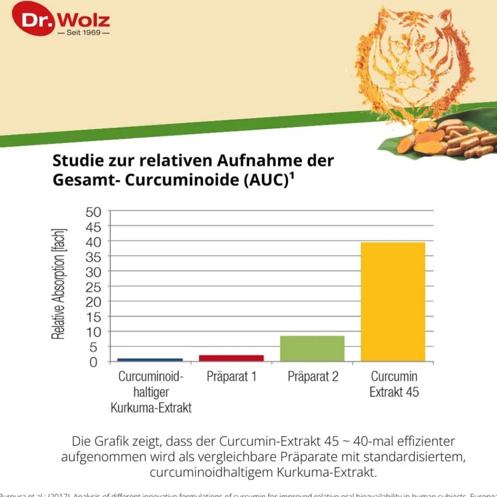 Curcumin Extrakt 45 Kapseln>Dr. Wolz Best
