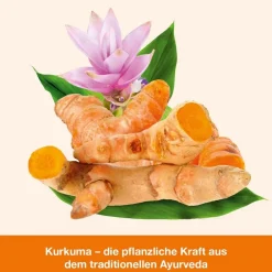 curcumin-Loges – hoch bioverfügbare Kurkuma-Kapseln><noscript><img width=