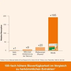 curcumin-Loges – hoch bioverfügbare Kurkuma-Kapseln><noscript><img width=