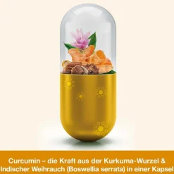 curcumin-Loges plus Boswellia - hoch bioverfügbare Kurkuma-Kapseln plus Weihrauch><noscript><img width=